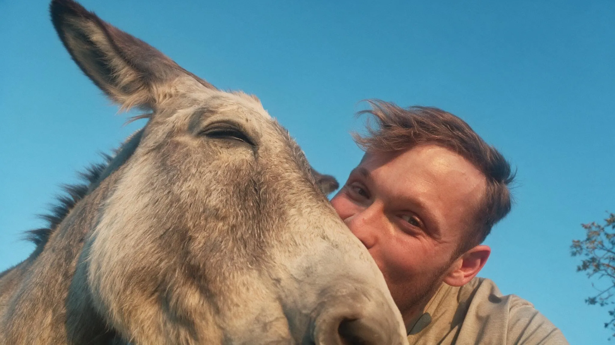 A man resting his face against a donkey's cheek
